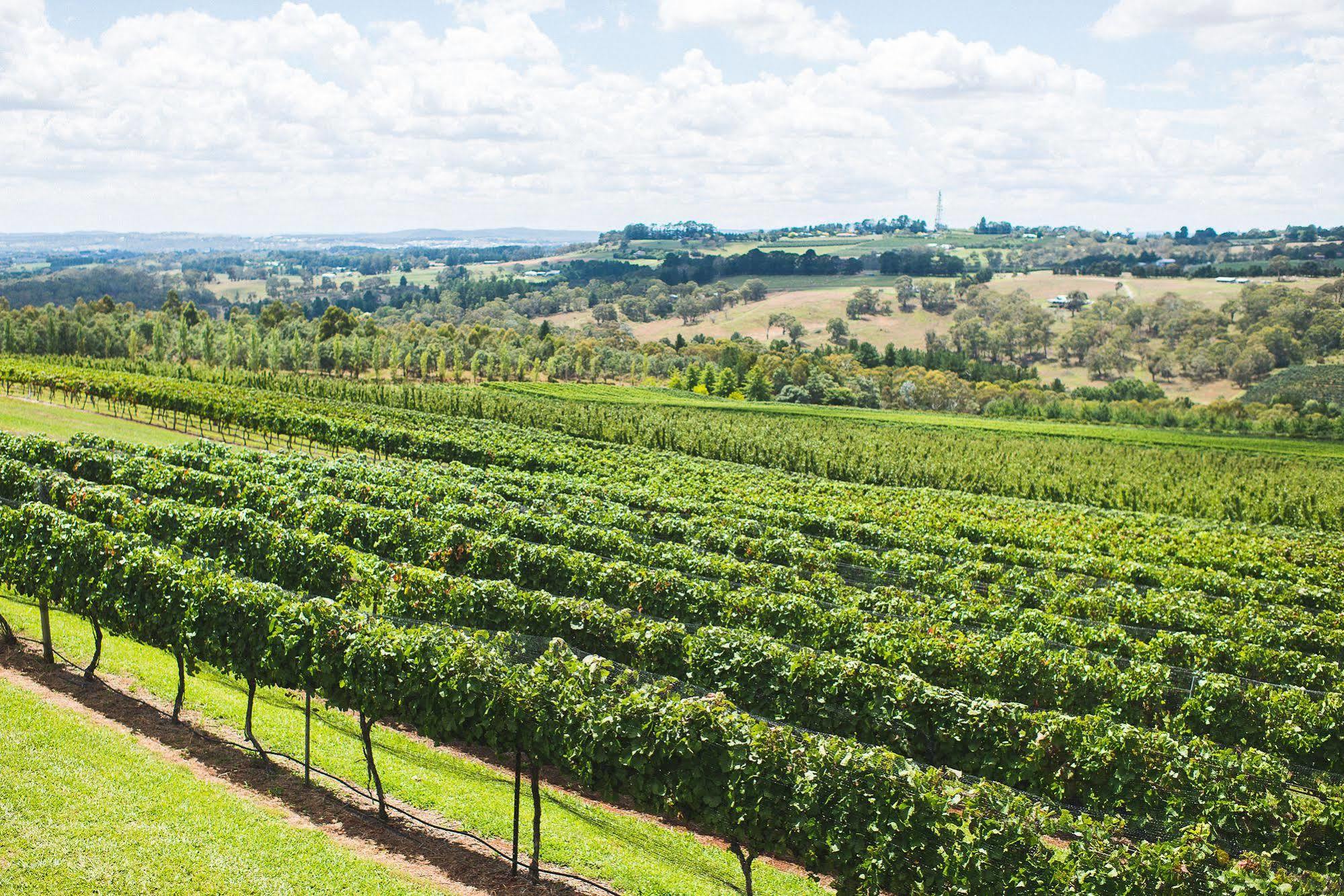 فندق Borrodell Vineyard أورنج المظهر الخارجي الصورة